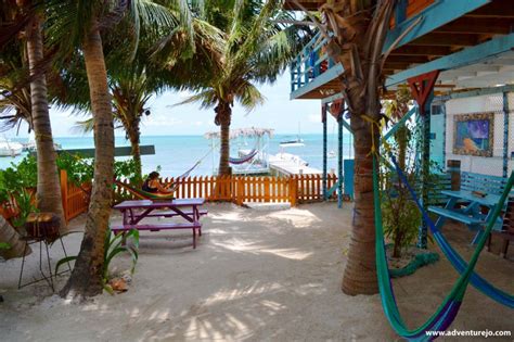 hostels in caye caulker
